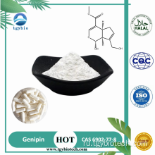 Поставка пищевого класса Genipin Powder CAS 6902-77-8